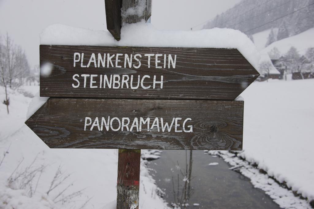 Chalet Gamsjaeger Gosau Pokoj fotografie